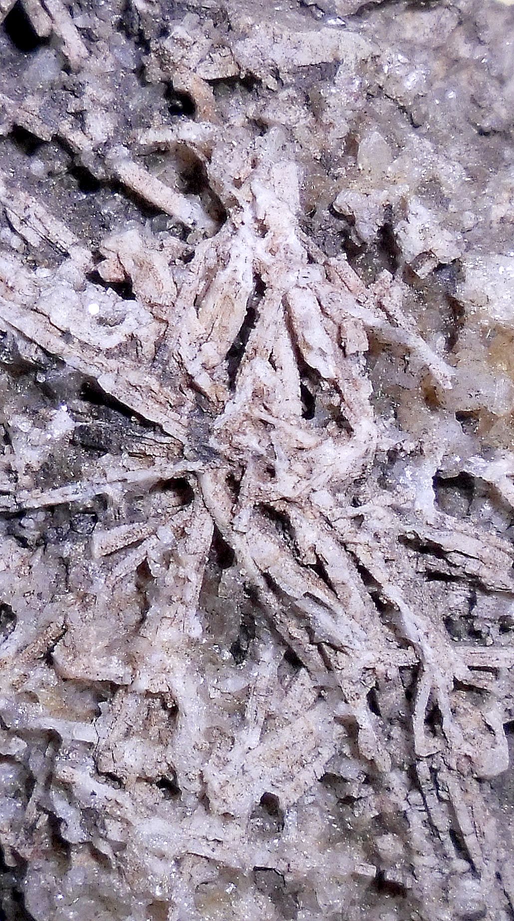 Pseudomorfóza - krystaly křemene po barytu.